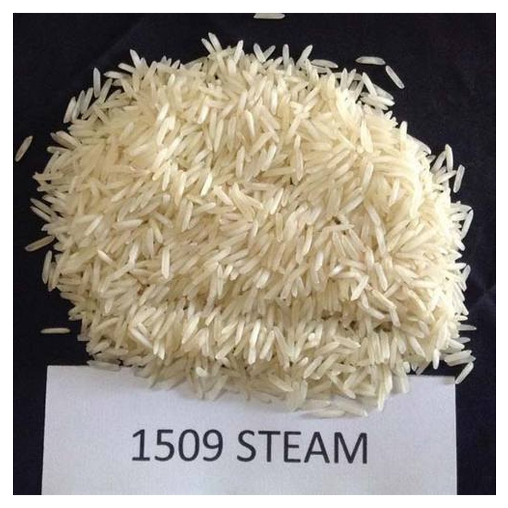 1509 Steam Rice